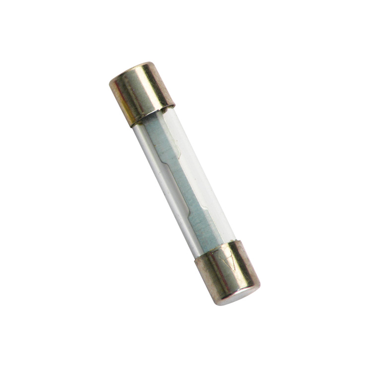 CHAMPION - 3AG 30 AMP